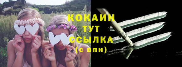 шишки Балахна