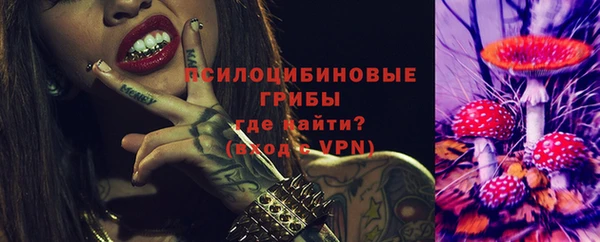 мяу мяу мука Баксан