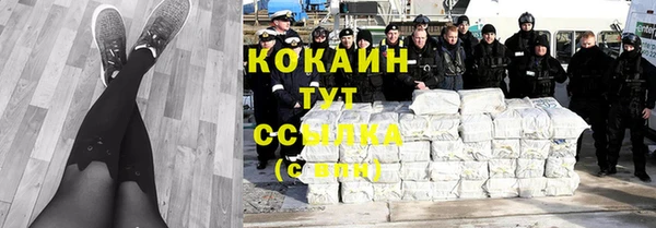 apvp Белокуриха