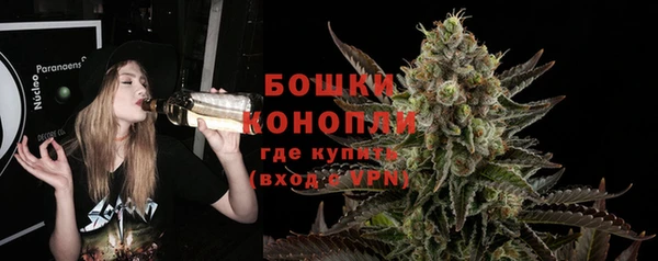 шишки Балахна