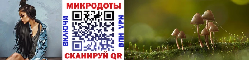 Купить где  Тимашёвск  Псилоцибиновые грибы ЛСД 